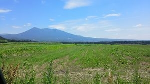 愛犬と宿泊できる 那須のプライベートドックラン付き貸別荘