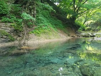 那須観光 ワンコと水遊び 木の俣渓谷