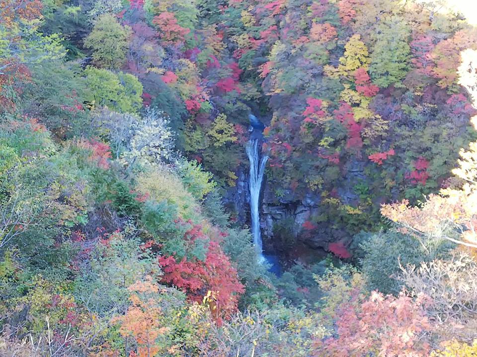 44601978_2290934264314599_4686434482490703872_n