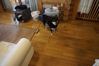 209358590_3519281818171608_6503296379195204793_n