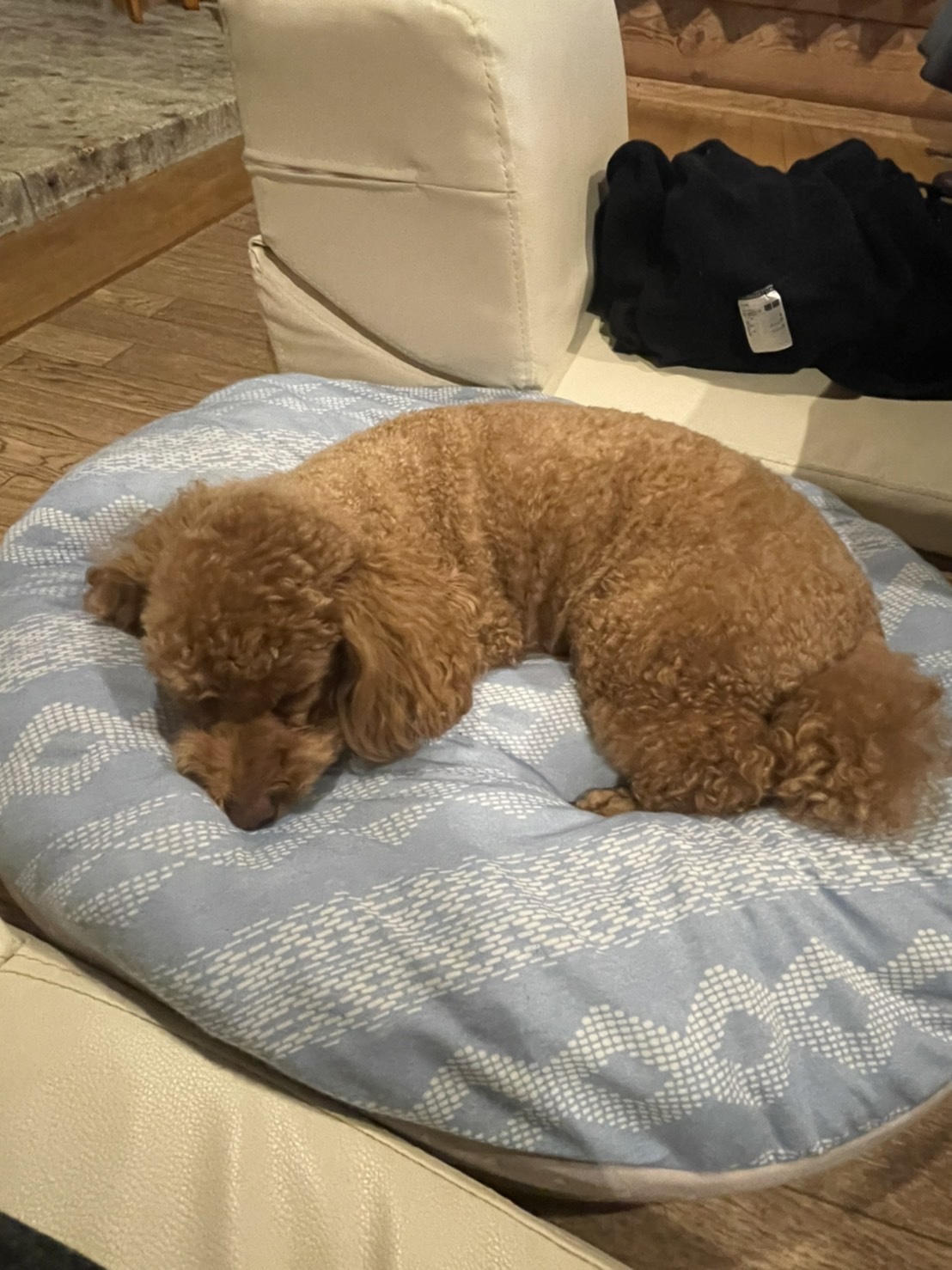 line_oa_chat_220924_125223