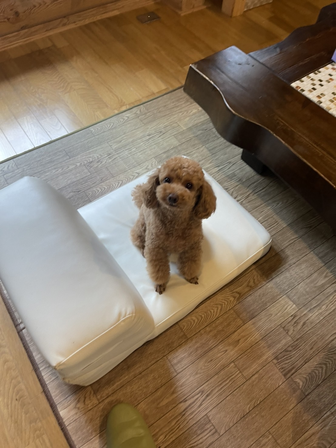 line_oa_chat_220924_125228