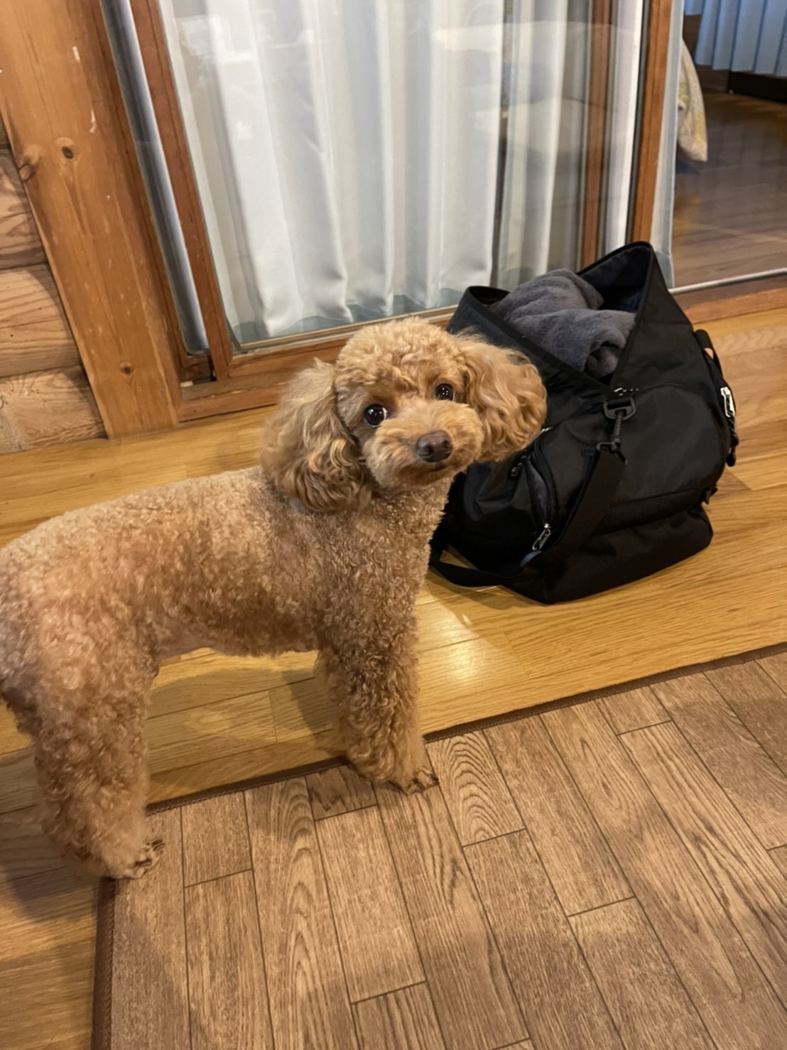 line_oa_chat_220924_125231