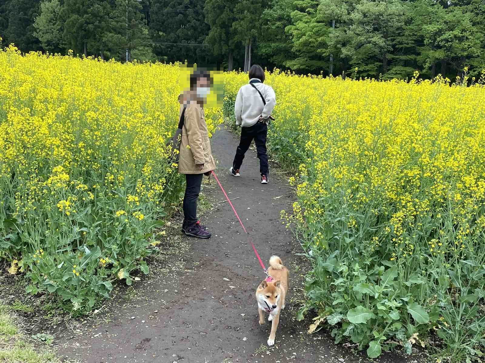 IMG-bd02ca1e03d0389fbaafa3d1534bea04-V