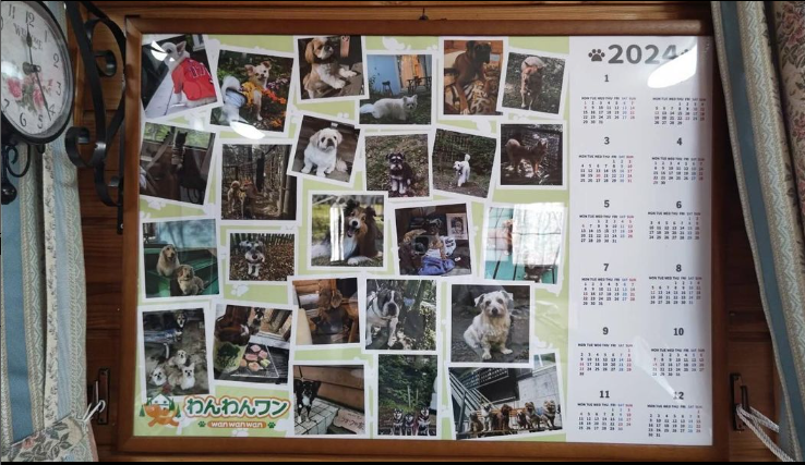 スクリーンショット 2024-04-12 045037