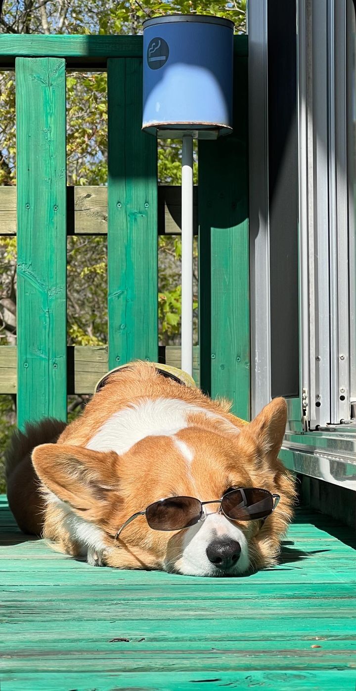 439935237_473913971643889_5216118720405939593_n