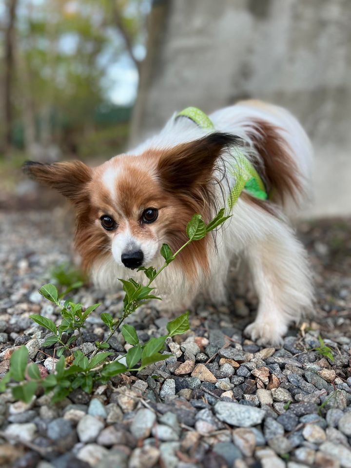 440229256_1722074765278360_7972697366593570503_n