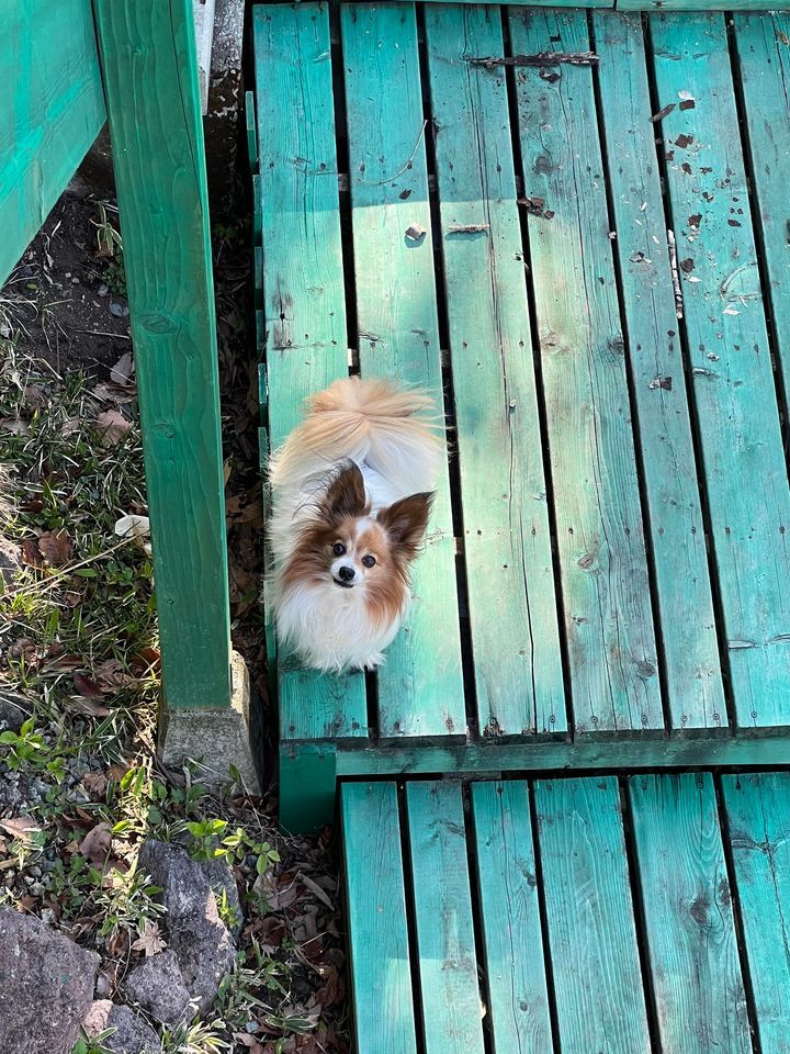 440399321_2204599596539776_5895399287919468663_n