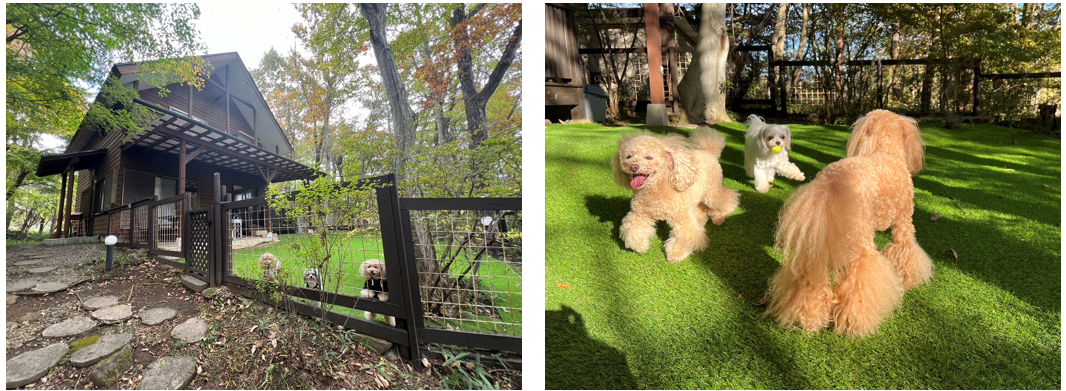 スクリーンショット 2024-11-14 162705