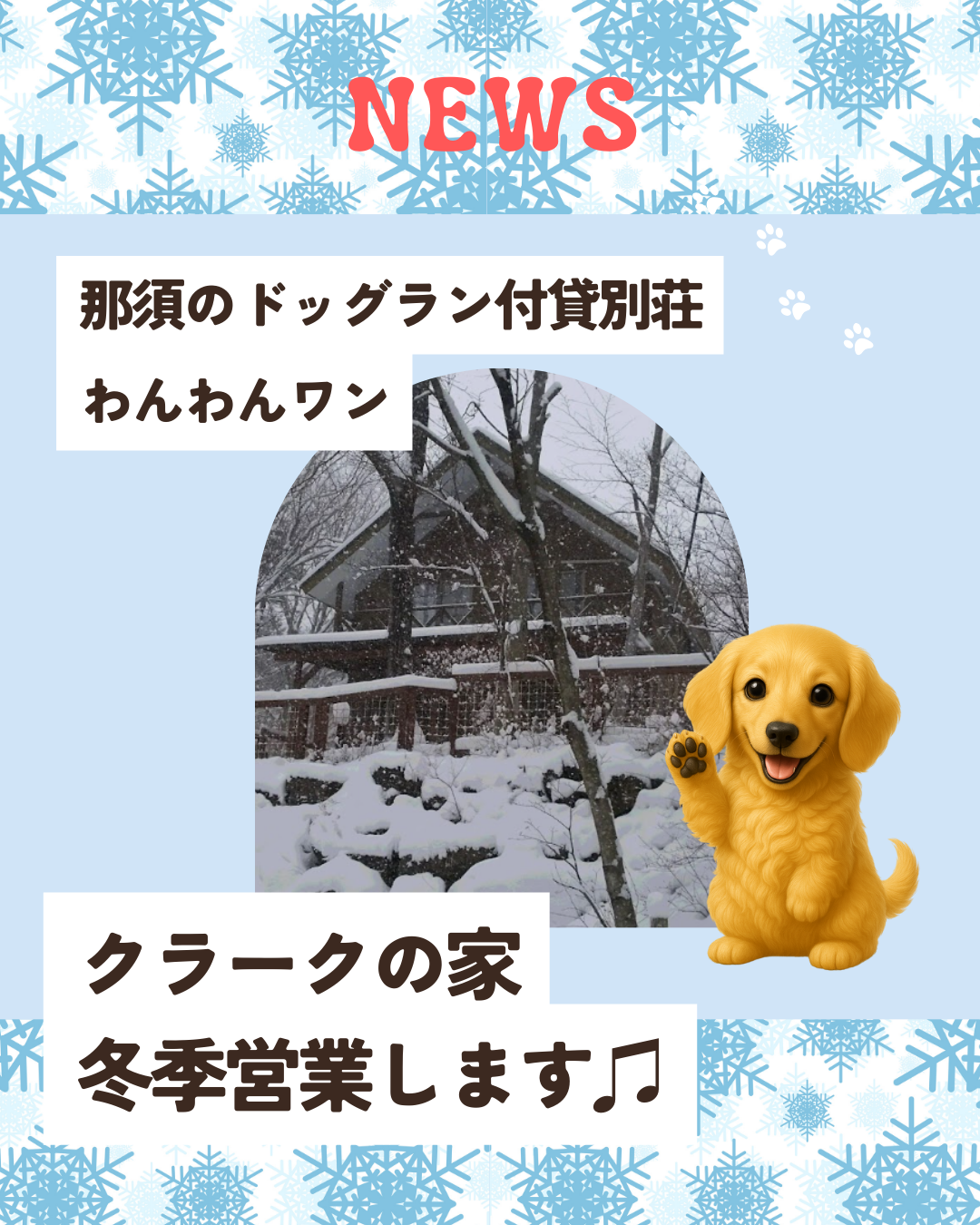 わんわんわんページ インフォメーション